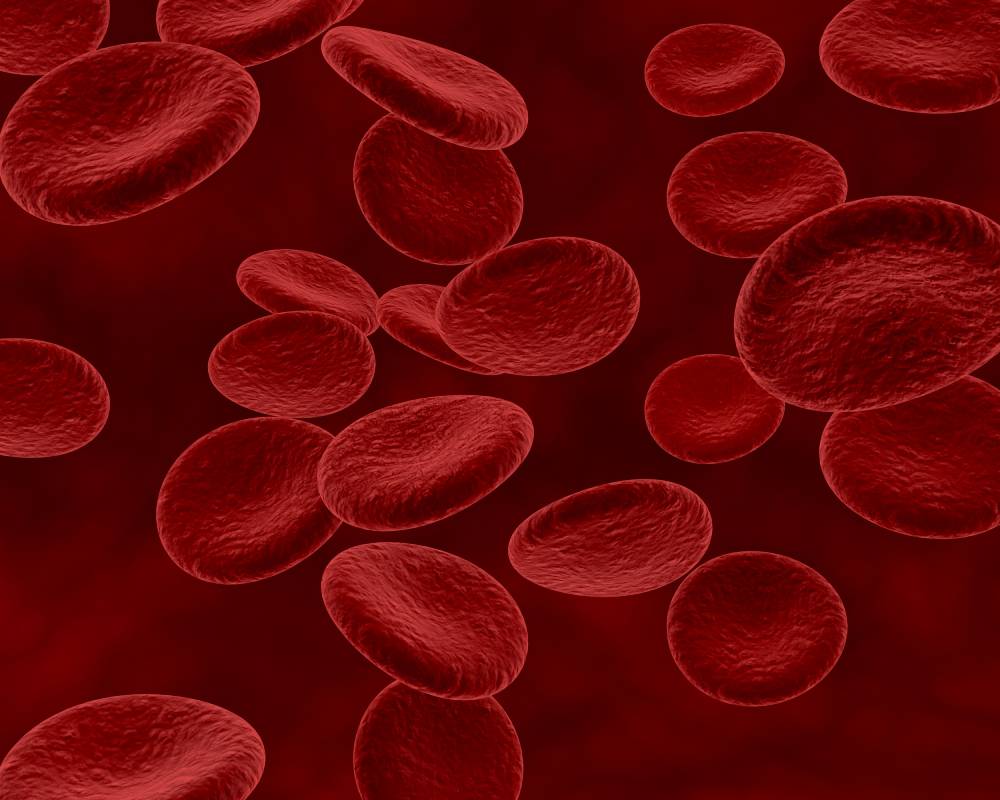 Anaemia: Signs, Symptoms and Treatment